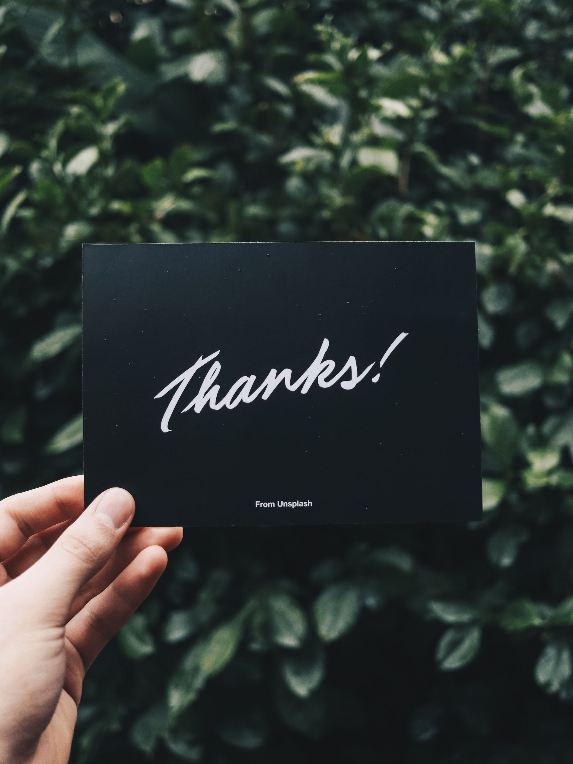Thank you